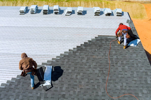 Best Roof Inspection  in USA